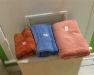 Downstairs- Wastebasket & towels