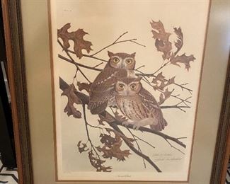 Screech Owls Print signed by John A. Ruthven