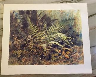 "Fern" by Jim Gray