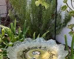 Birdbath