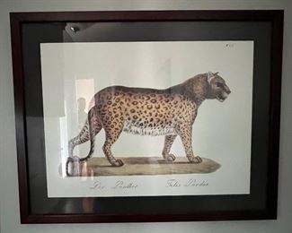 Framed Print, "Panther"