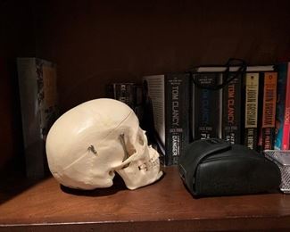 Clay-Adams human skull $1500 (taking bids)