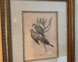 Framed J. Gould parakeet print