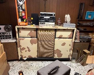 Super Groovy Stereo In Spotted Palomino Colors