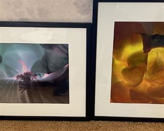 B003 Framed Art Photography