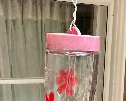 HUMMINGBIRD FEEDER