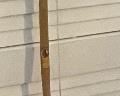 INDIAN ARCHERY BOW