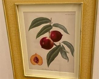 FRAMED FRUIT PRINT