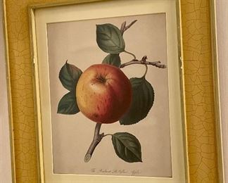 FRAMED FRUIT PRINT