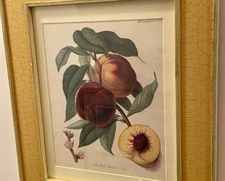FRAMED FRUIT PRINT