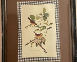 FRAMED BIRD PRINT