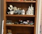 Bookcase is for sale, as well as everything displayed on it.
