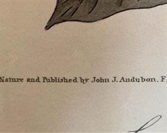 Published by John J. Audubon