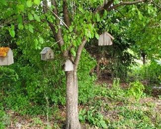 Bird houses