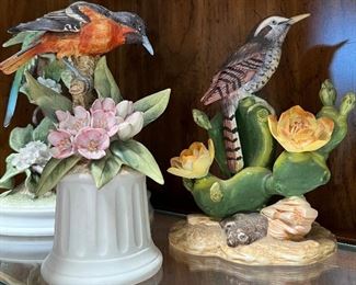 Andrea by Sadek : Oriole, Cactus Wren