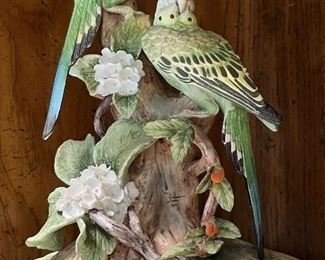 Andrea by Sadek Parakeets