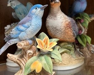 Andrea by Sadek : Mountain Bluebird
Andrea by Sadek : California Quail