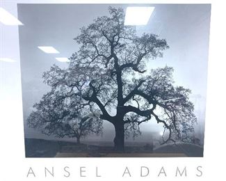 Ansel Adams Print with Authorization Stamp