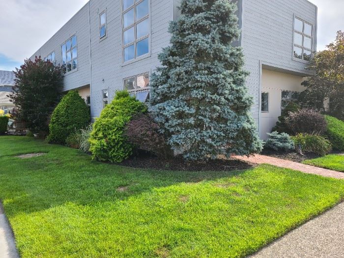 DEMOLITION / ESTATE SALE LONGPORT starts on 9/9/2022