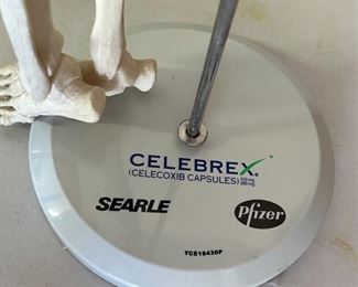 Celebrex 32" Model Human Skeleton on stand DETAILED Medical	33 inches high	
