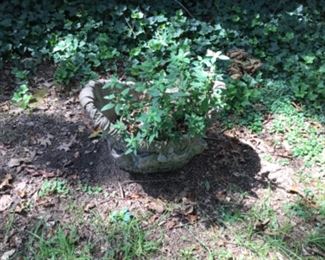 Two large concrete planters