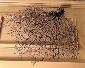 Lots and lots of Sea Fan coral specimens