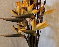 Faux Bird of Paradise in Vase