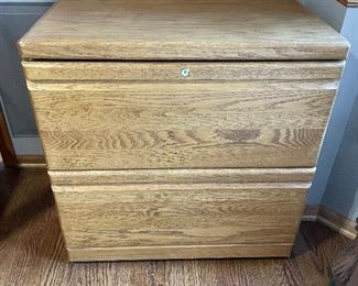 File cabinet #2, 30" x 21" x 31"H,  was $50, NOW $30