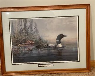 "Next Generation - Common Loon" by Zoelick, signed,  1955/4000, was $75,. NOW $40