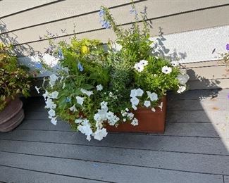 $180. Rectangular planter 37.5 x 17.5 x 16.5"h    This is available for online purchase only.