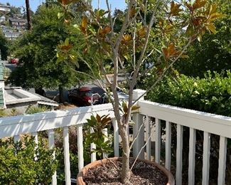 $180.  28.5" diameter x 24"h.   This is available for online purchase only.