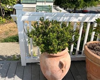 $90   Urn is 18" diameter x 25"h.     This is available for online purchase only.