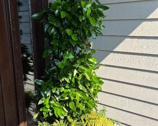 Second of the set.  This is available for online purchase only.