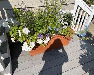 $180.  Rectangular planter is 37.5"w x 17"d  x 16.5"h. 
This is available for online purchase only.