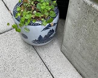 For sale during in person shopping on Friday and Saturday