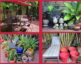 Lanai Furniture and Lots of Plants and Pots