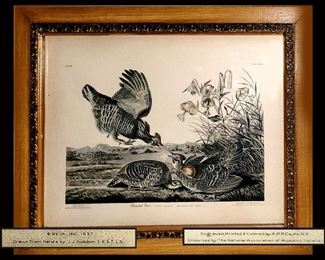 Audubon Pinnated Grouse Print Stating that it has been endorsed by the National Association of Audubon Societies and Dated 1937