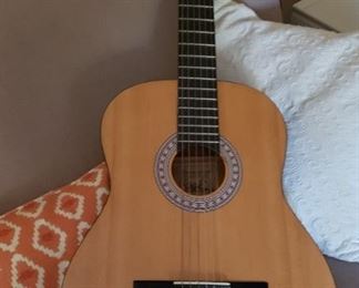 Burswood Acoustic Guitar