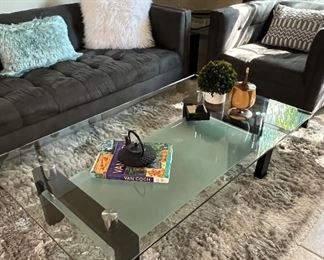 Sofa, Matching Arm Chair, Coffee Table, End Table, Table Lamps pr, Decorator Pillows, 5x8 ShinyShag Area Rug