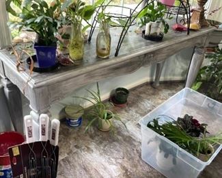 Plants, plant stands, vases, table