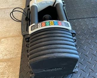 Powerblock Adjustable Dumbbells
