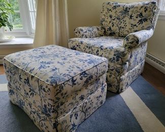 Blue and White Area Rug.