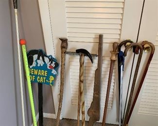 walking sticks