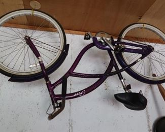 Free Brand Aluminum Bike