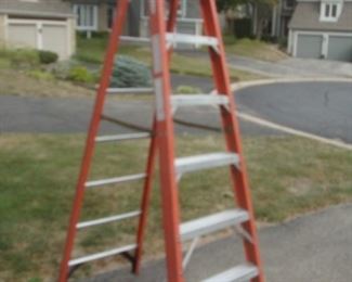 8' Werner stepladder