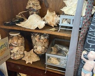 Oh the sea shells we have......large, small sold separately and lots sold in baskets and jars