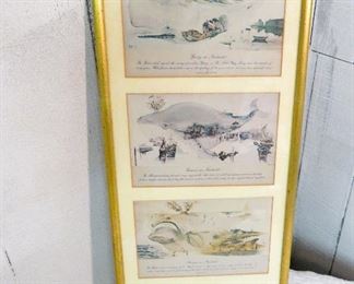 Nantucket whaling four seasons