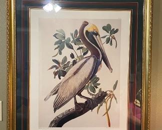 John James Audubon-Brown Pelican 32"W x 38"H