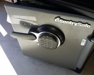Sentry digital safe