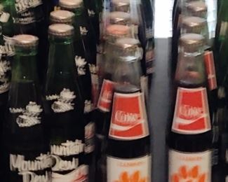 Very Large Bottle Collection